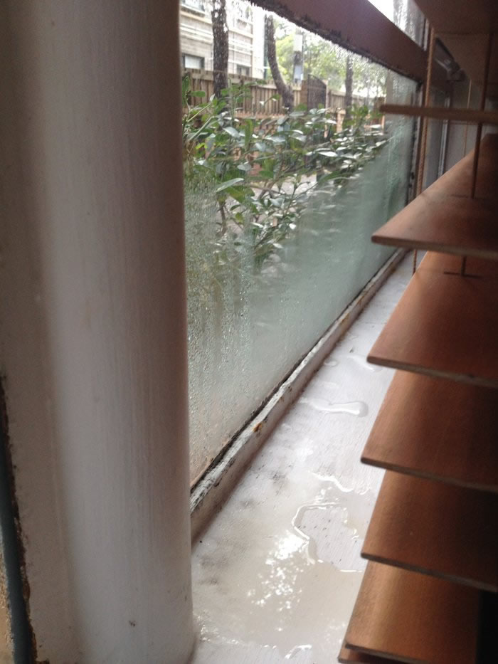 Mould growth on ceiling