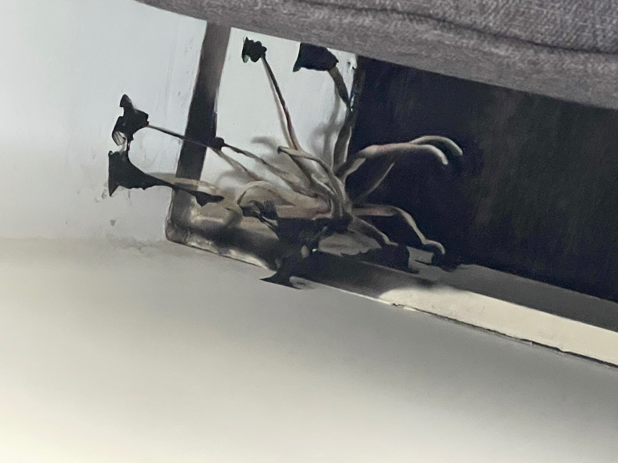 Condensation causes mould growth