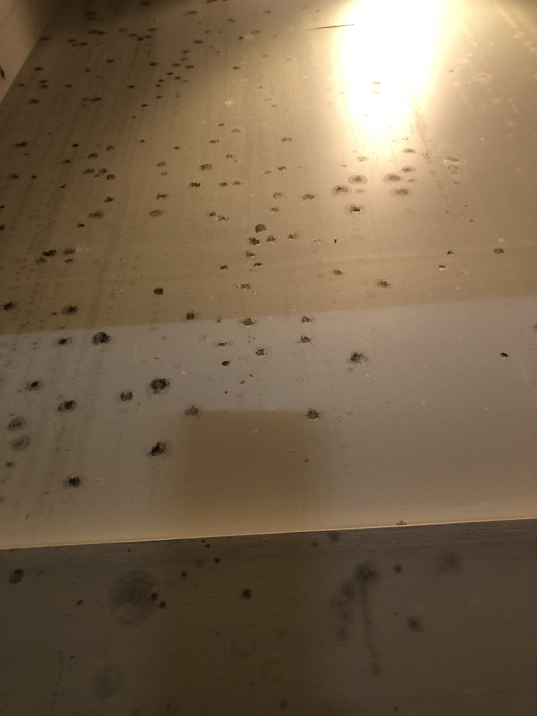 Internal fungal growth